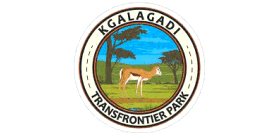 Botswana Kgalagadi Park