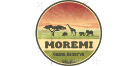 Botswana’s Moremi Game Reserve: Navigating Seasonal Floodwaters for Unforgettable Safaris