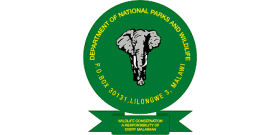 Lilongwe promotes eco-tourism and reintroduces 263 elephants to Kasungu