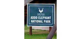 South Africa Addo