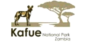 Zambia’s Bold Wildlife Translocation Boosts Kafue National Park’s Ecotourism and Biodiversity