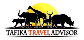 Zambia Tafika-Logo-Web-Header